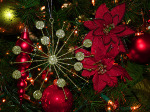 С новым годом 2010