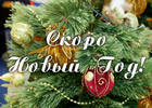 С новым годом